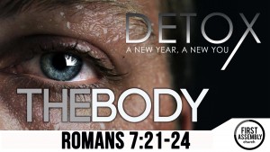 Detox3Body